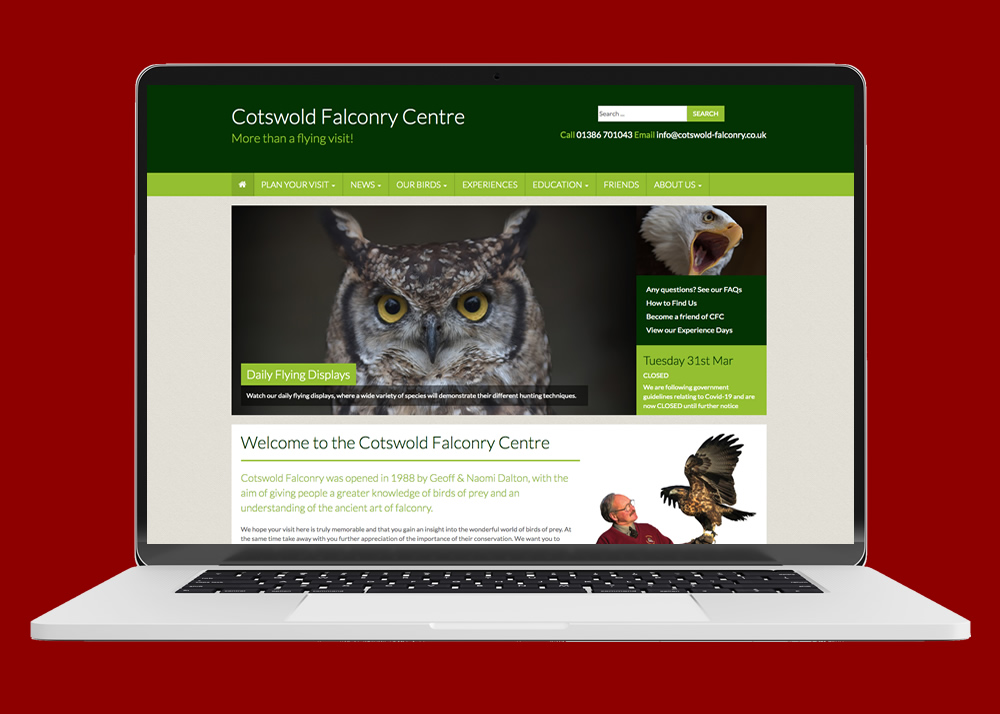 web cotswold falconry centre